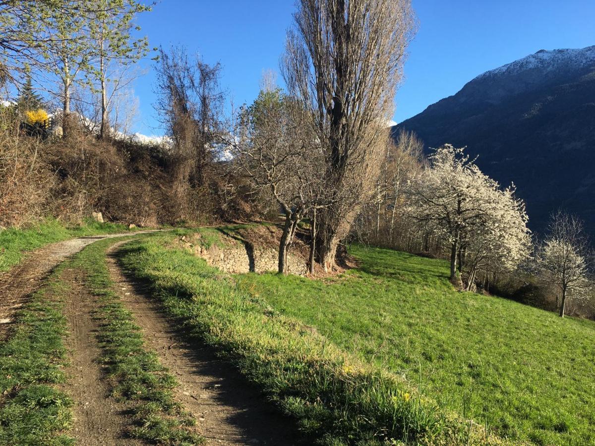 La Casa Del Bosco Daire Aosta Dış mekan fotoğraf