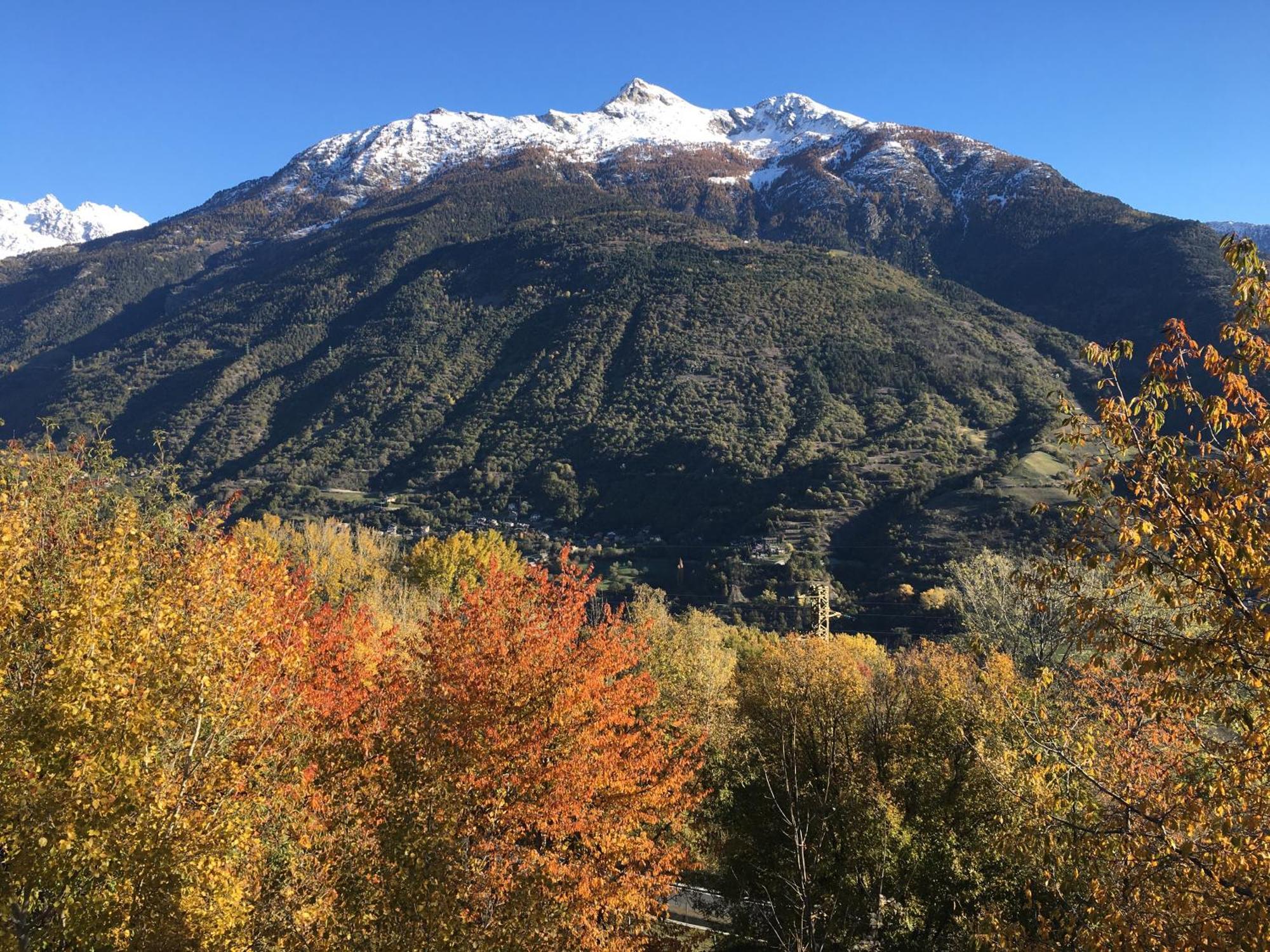 La Casa Del Bosco Daire Aosta Dış mekan fotoğraf