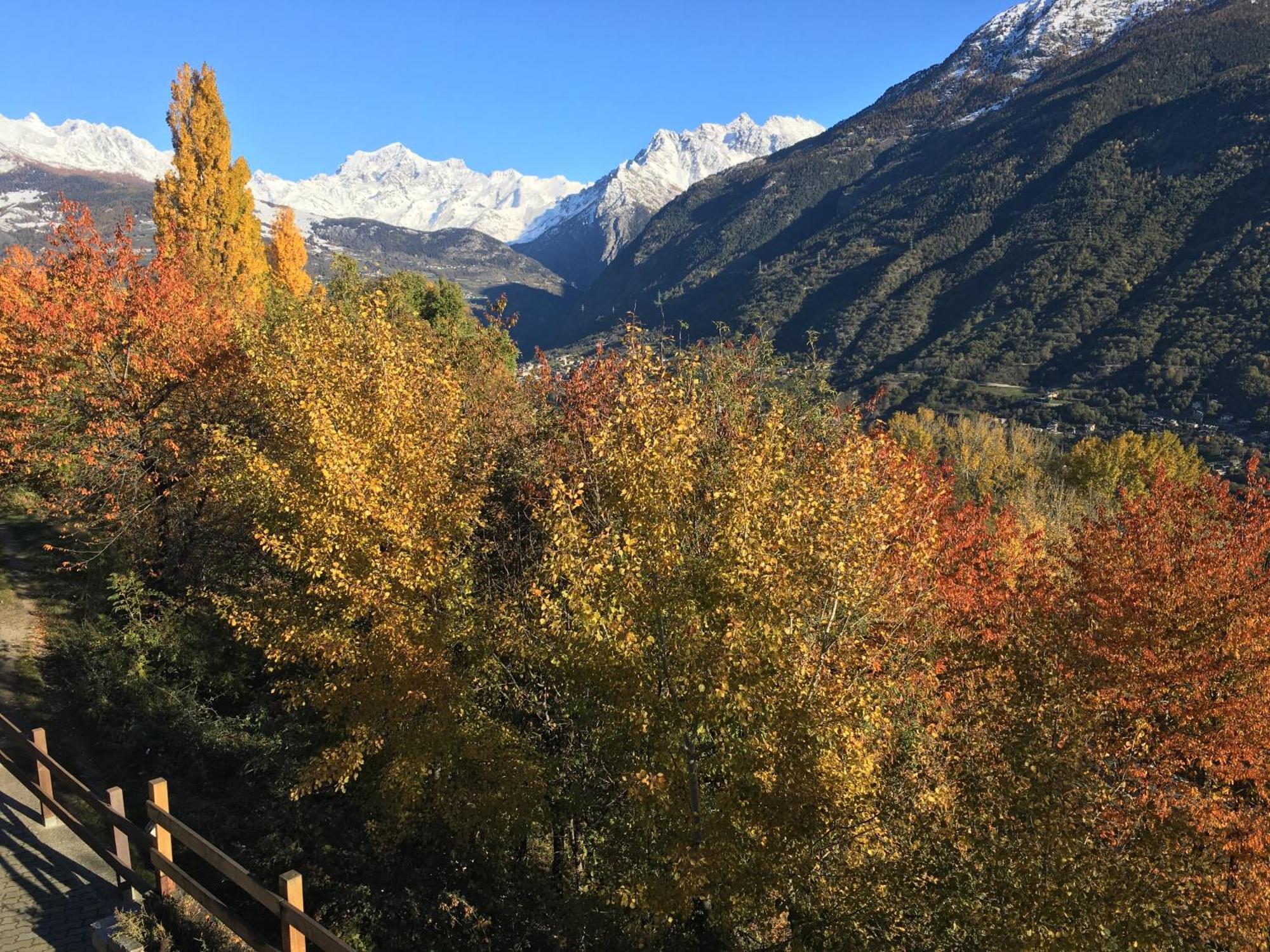 La Casa Del Bosco Daire Aosta Dış mekan fotoğraf